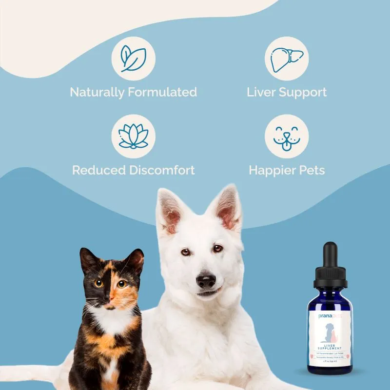 Liver Health Pack
