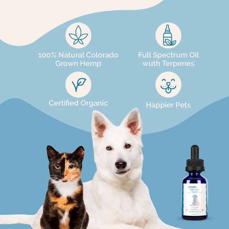 Liver Health Pack